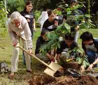 Jane Goodall: still hard at work for the chimps