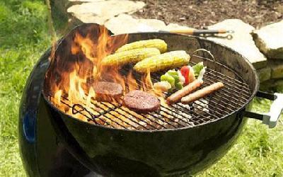 Enjoying outdoor cooking, without the unwanted visitors