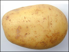 Potato-only Diet 只吃土豆的減肥法