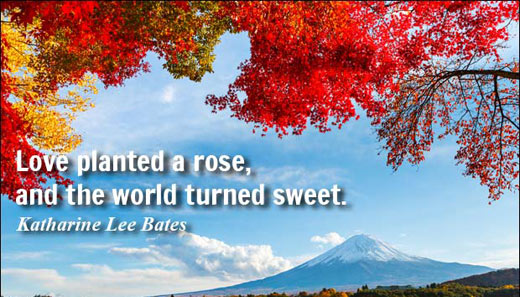 Love planted a rose, and the world turned sweet.