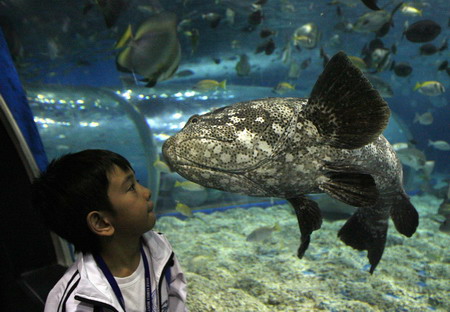 Santa Claus inside oceanarium at Manila Ocean Park