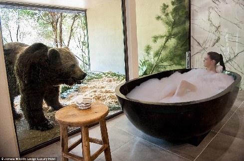 旅館？動物園？這是澳大利亞加馬拉野生動物旅館！