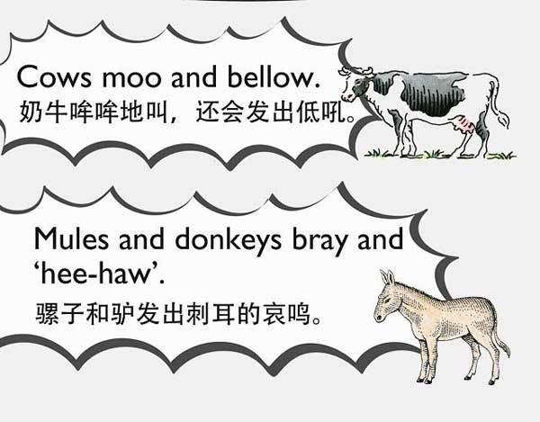 自然界中有各種聲音 如何用英語(yǔ)來(lái)描述動(dòng)物的叫聲？