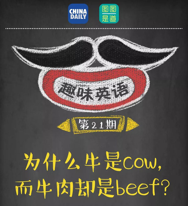 為什么牛是cow，而牛肉卻是beef？