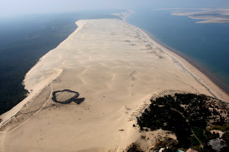 'Big Tree' formed to mark Earth Day